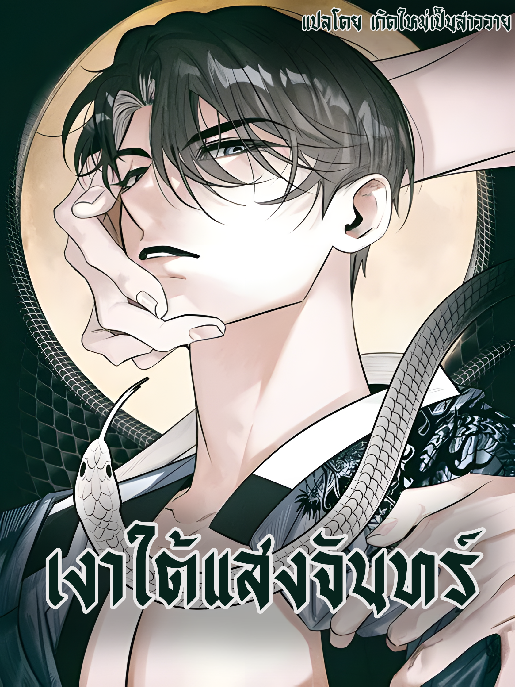 Moonlight Projection